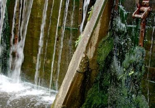 8425562d032091a817245a96973ba2ce_f405.jpg
